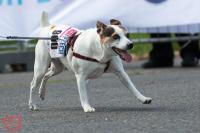 Předmaratonských 12 dní 