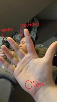 Quido, Staňour, jizva