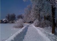 Kdy je běhání nejhezčí? Na jaře, v létě, na podzim anebo v zimě? 