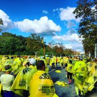 Maraton zaběhne kdokoliv