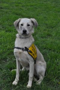 Letní výzva pro srdcaře 2016