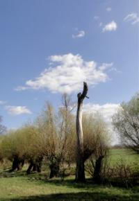 Nezapomenutelný den 