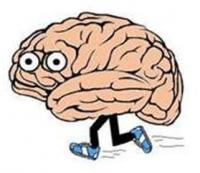 pozor &ndash; mozek na&nbsp;útěku